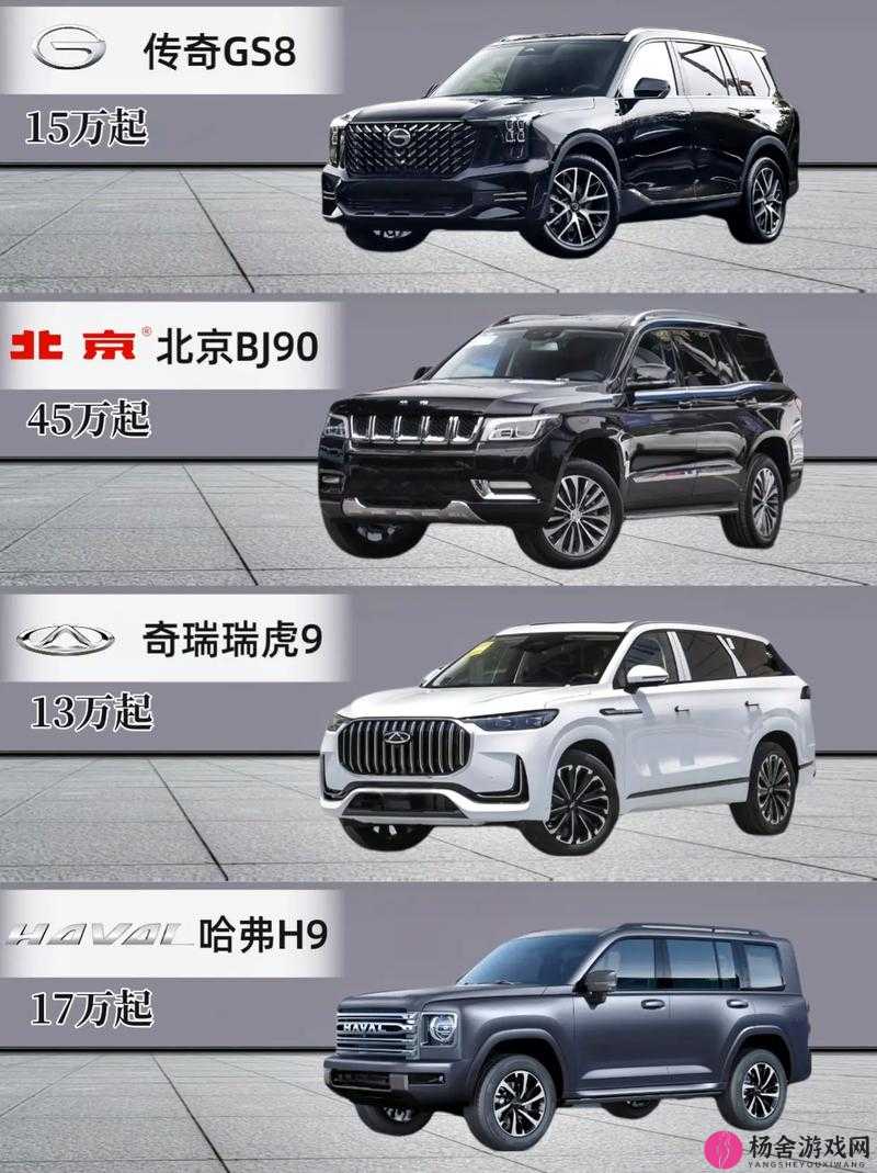 国产 SUV 精品一区二区 6：展现国产 SUV 的独特魅力与卓越品质