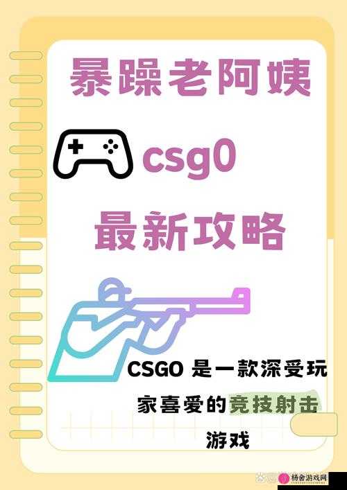 暴躁老阿姨 csgo 热门英雄-带你领略不一样的游戏世界